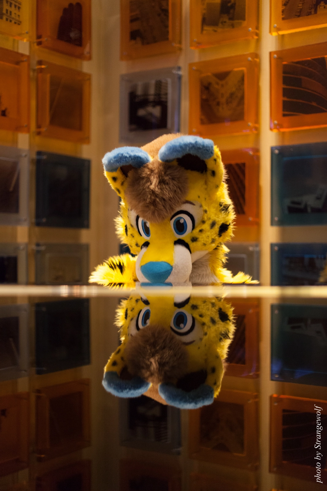 full image IMG_4242-lr16t.jpg