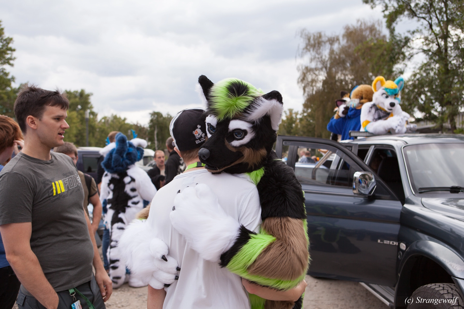 full image IMG_5274-lr19t.jpg