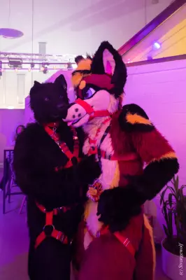 1R3A2703-lr19t.jpg of Furstrike/Furstrike 2022/