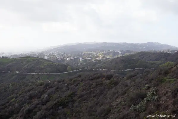 IMG_0960-lr16t.jpg of FC/FC2017/