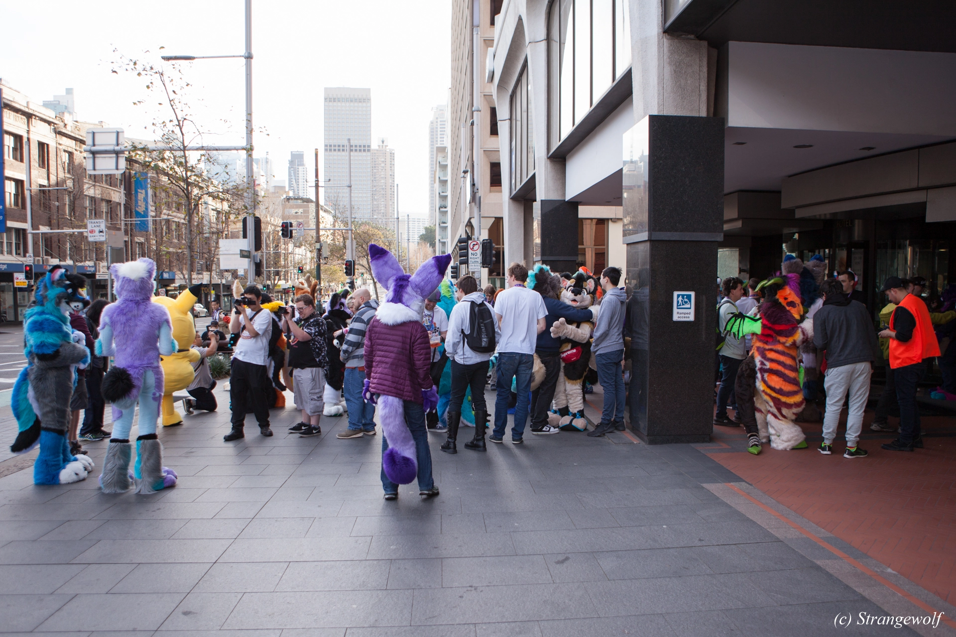 full image IMG_4547-lr19t.jpg