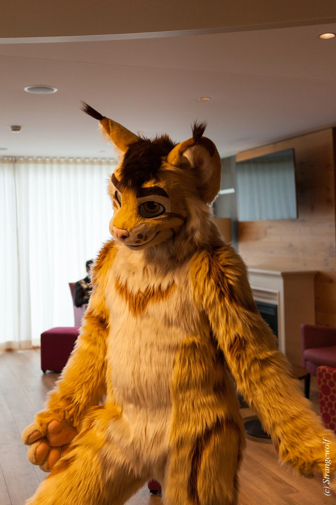 full image IMG_6973-lr19t.jpg