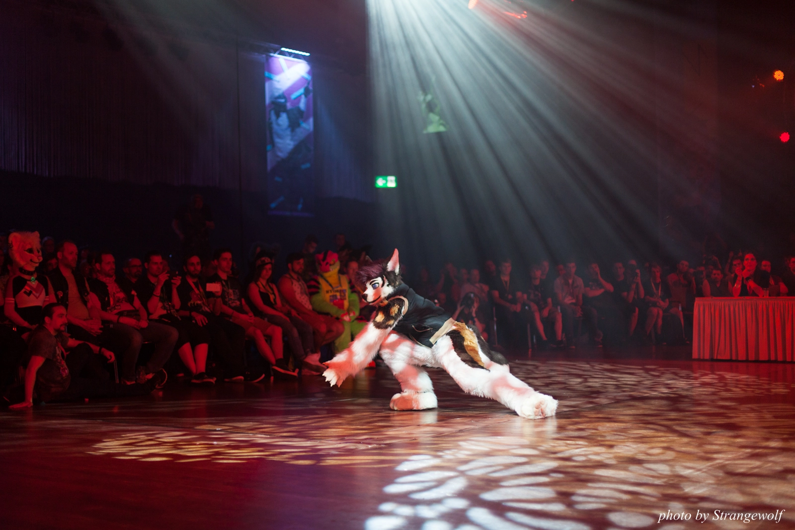 full image IMG_9391-lr16t.jpg