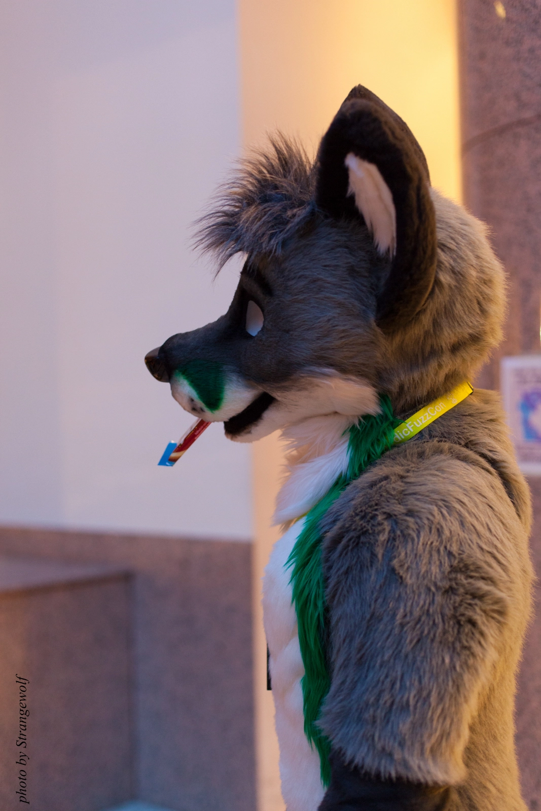 full image IMG_2150-lr16t.jpg