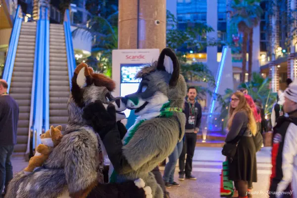 IMG_0691-lr19t.jpg of NFC/NFC2018/