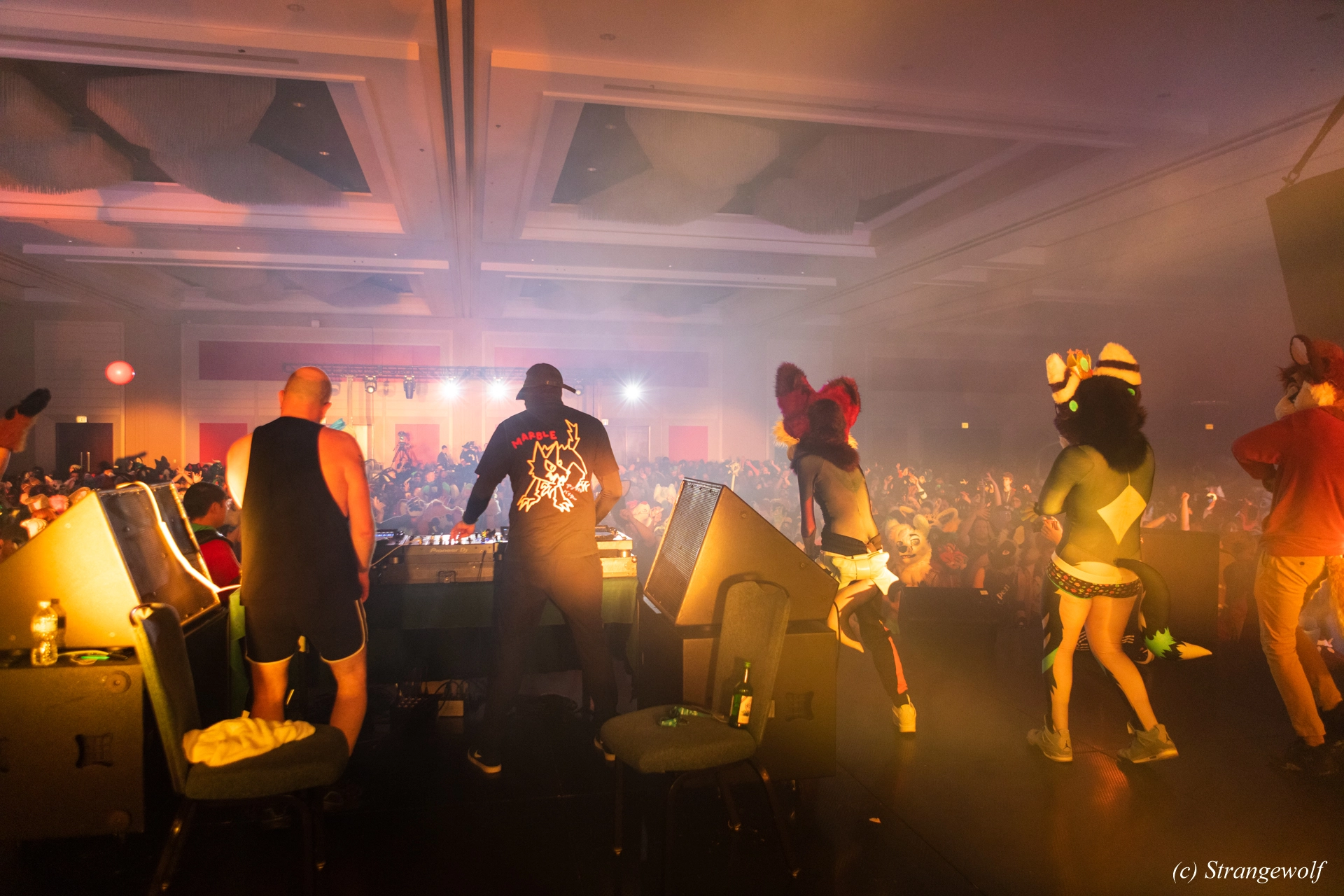 full image 1R3A7038-lr19t.jpg