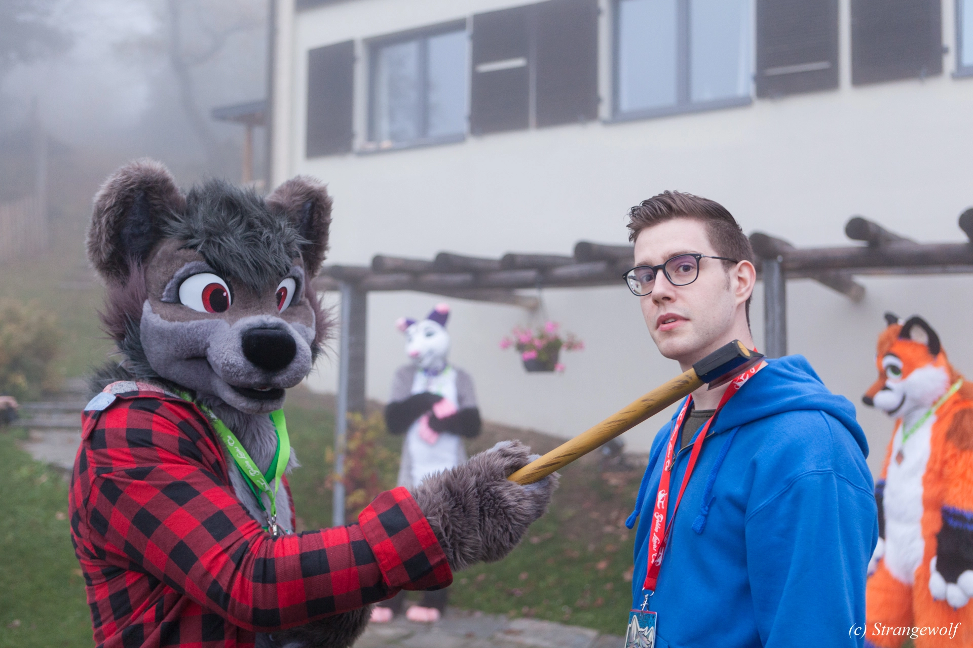 full image IMG_7053-lr19t.jpg