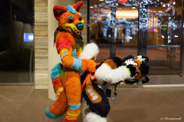 IMG_0900-lr19t.jpg of MFF/MFF2021/