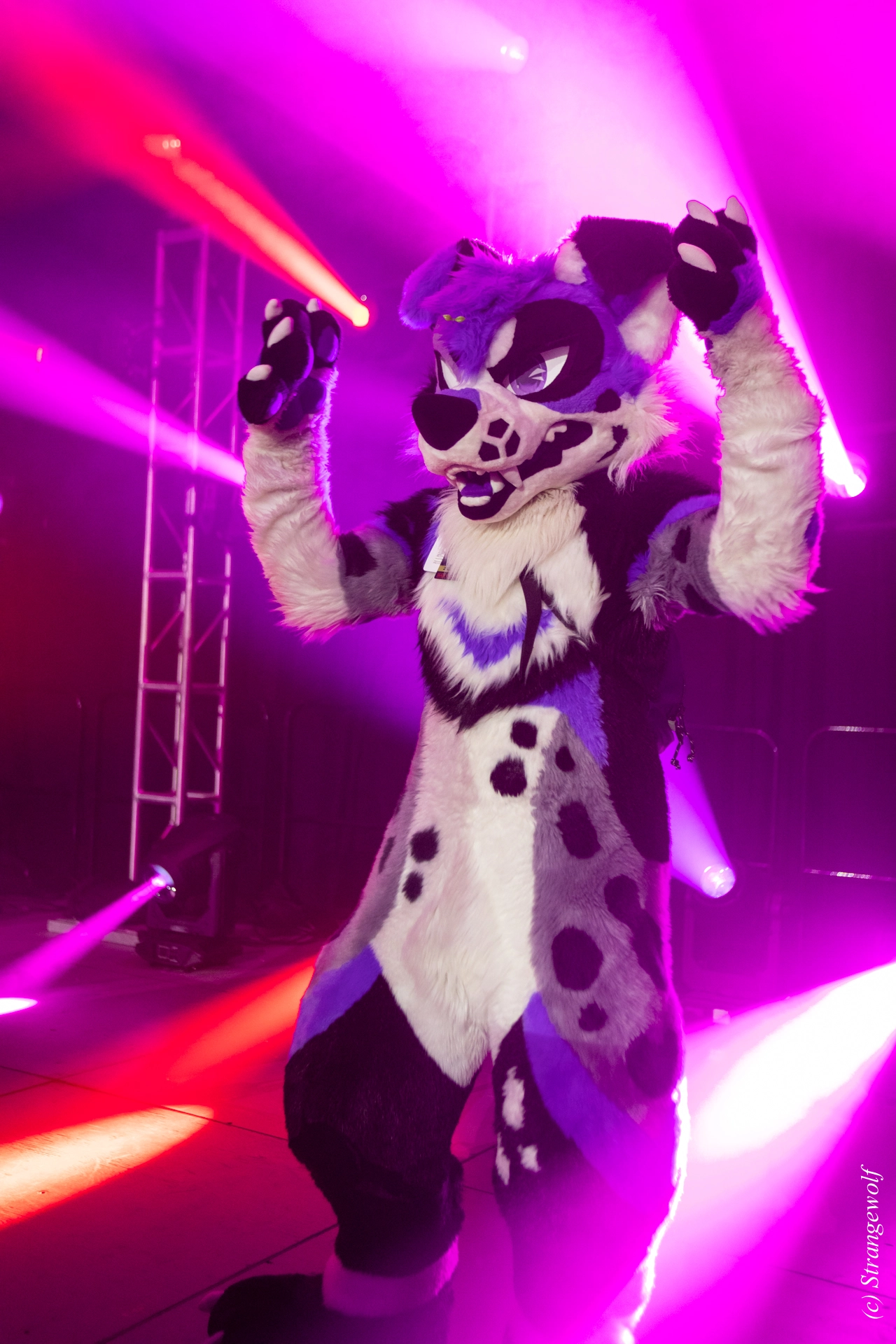 full image 1R3A0851-lr19t.jpg