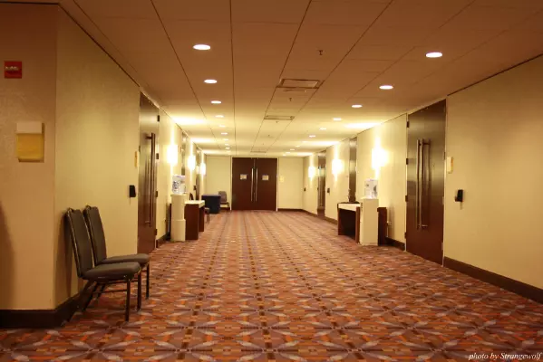 IMG_0403-lr.jpg of MFF/MFF2013/
