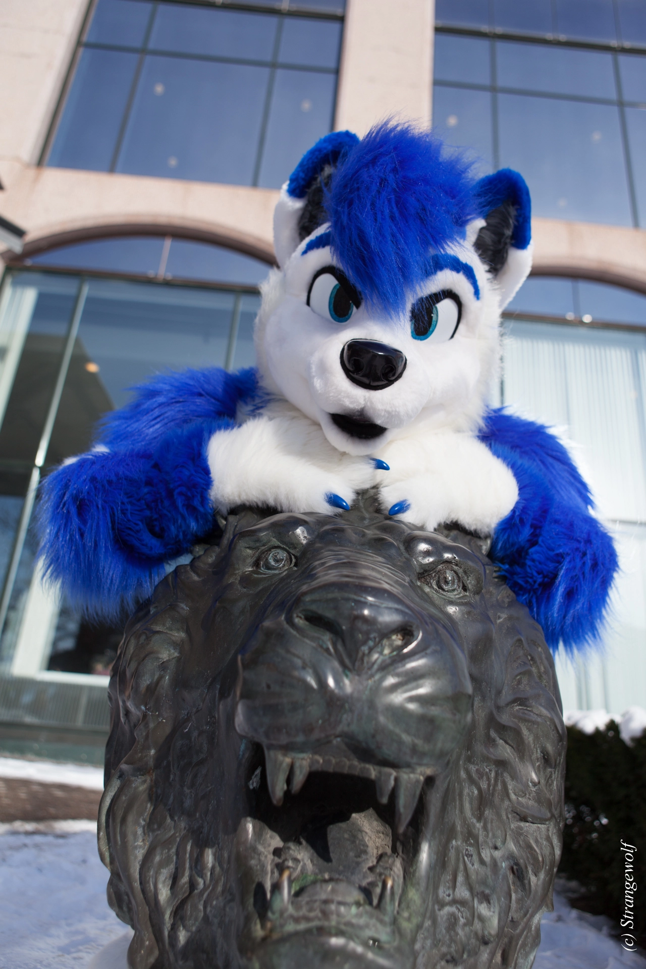 full image IMG_9762-lr19t.jpg