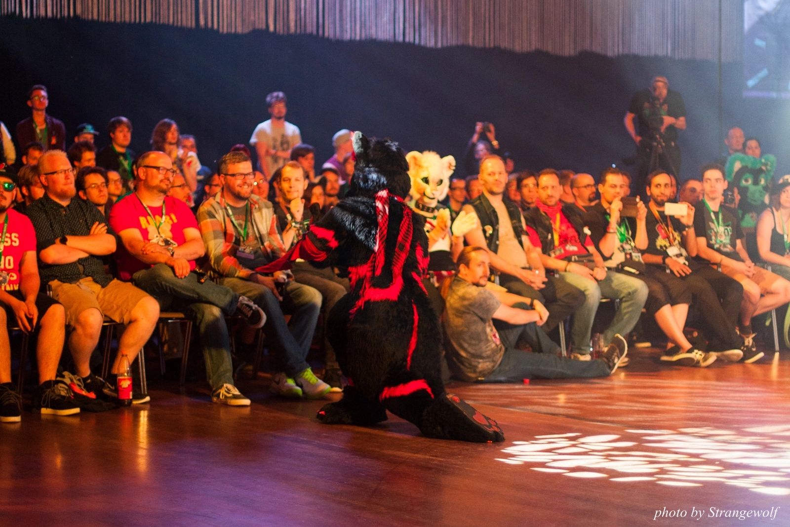 full image IMG_9163-lr16t.jpg