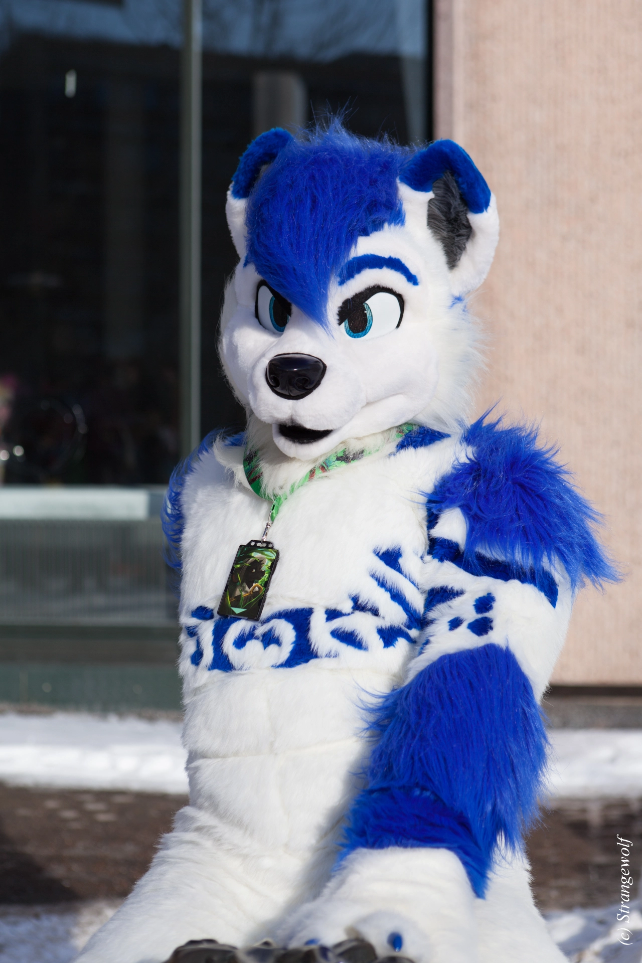 full image IMG_9725-lr19t.jpg