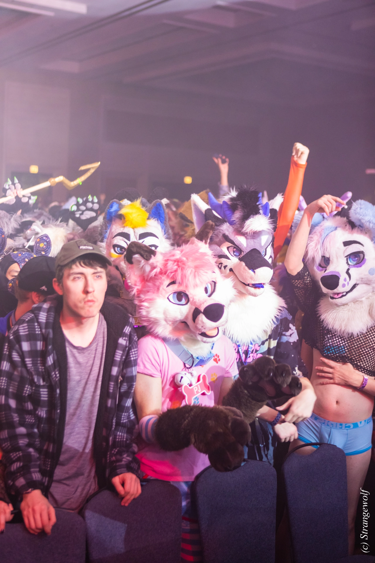 full image 1R3A6823-lr19t.jpg