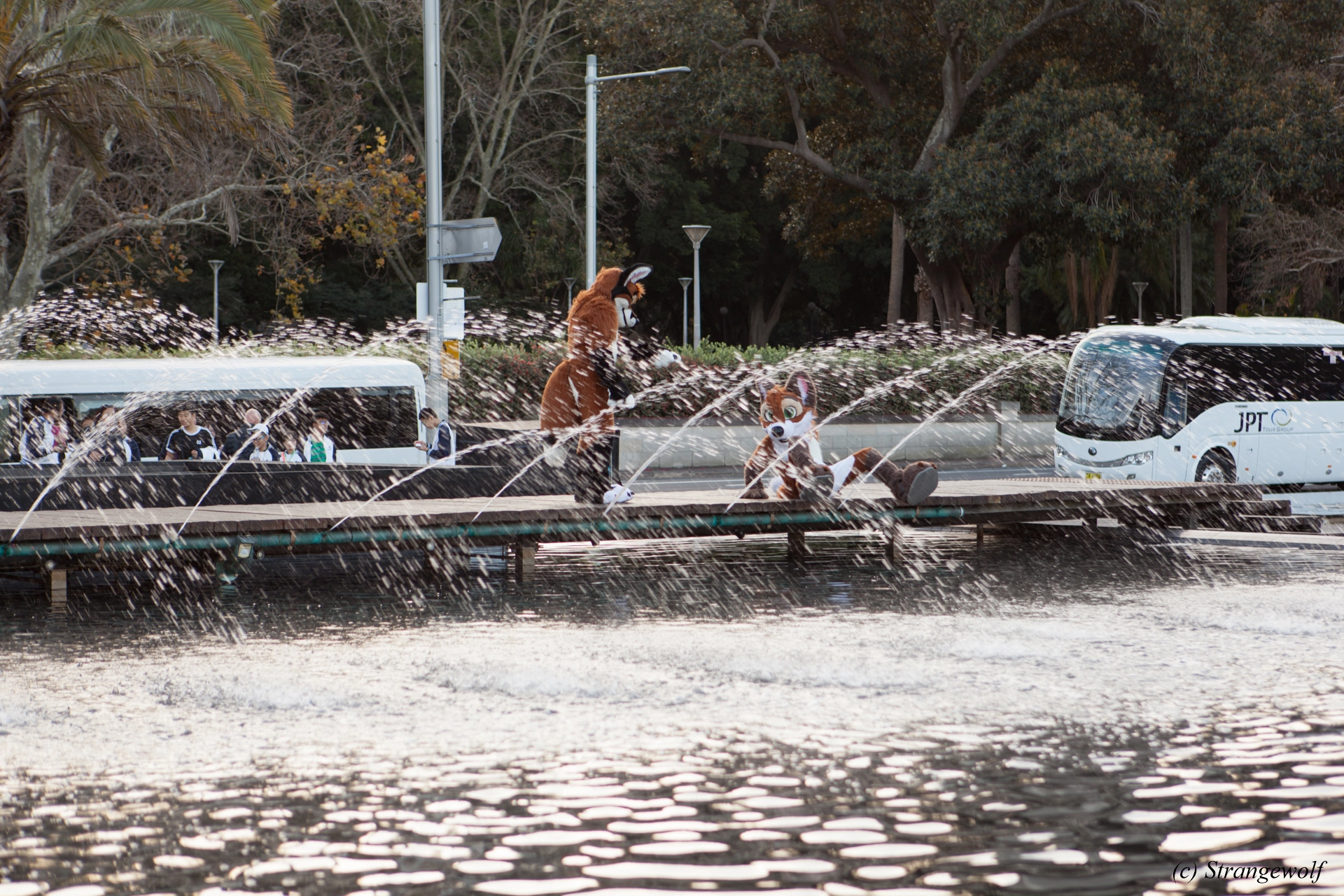 full image IMG_4682-lr19t.jpg