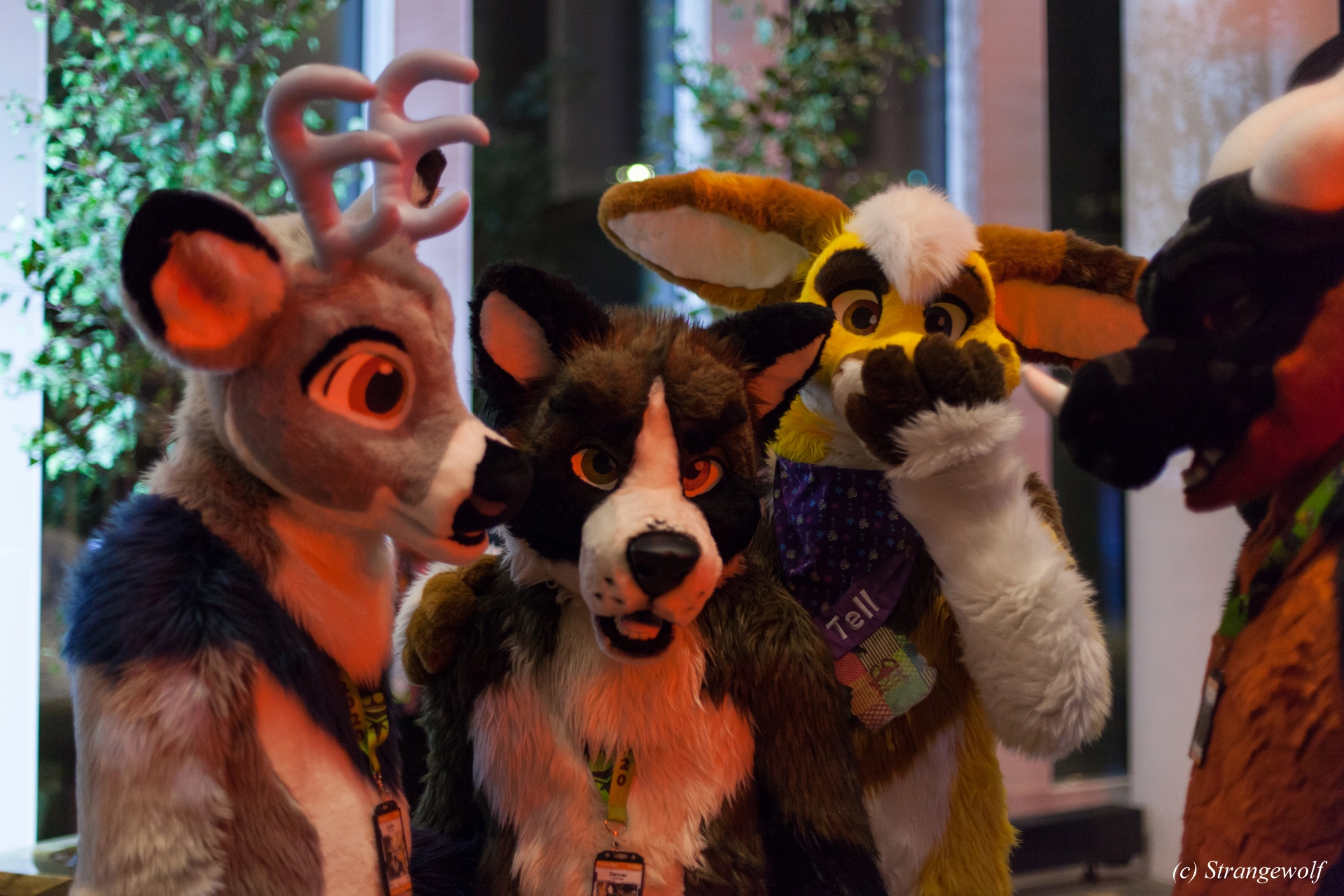 full image IMG_9407-lr19t.jpg