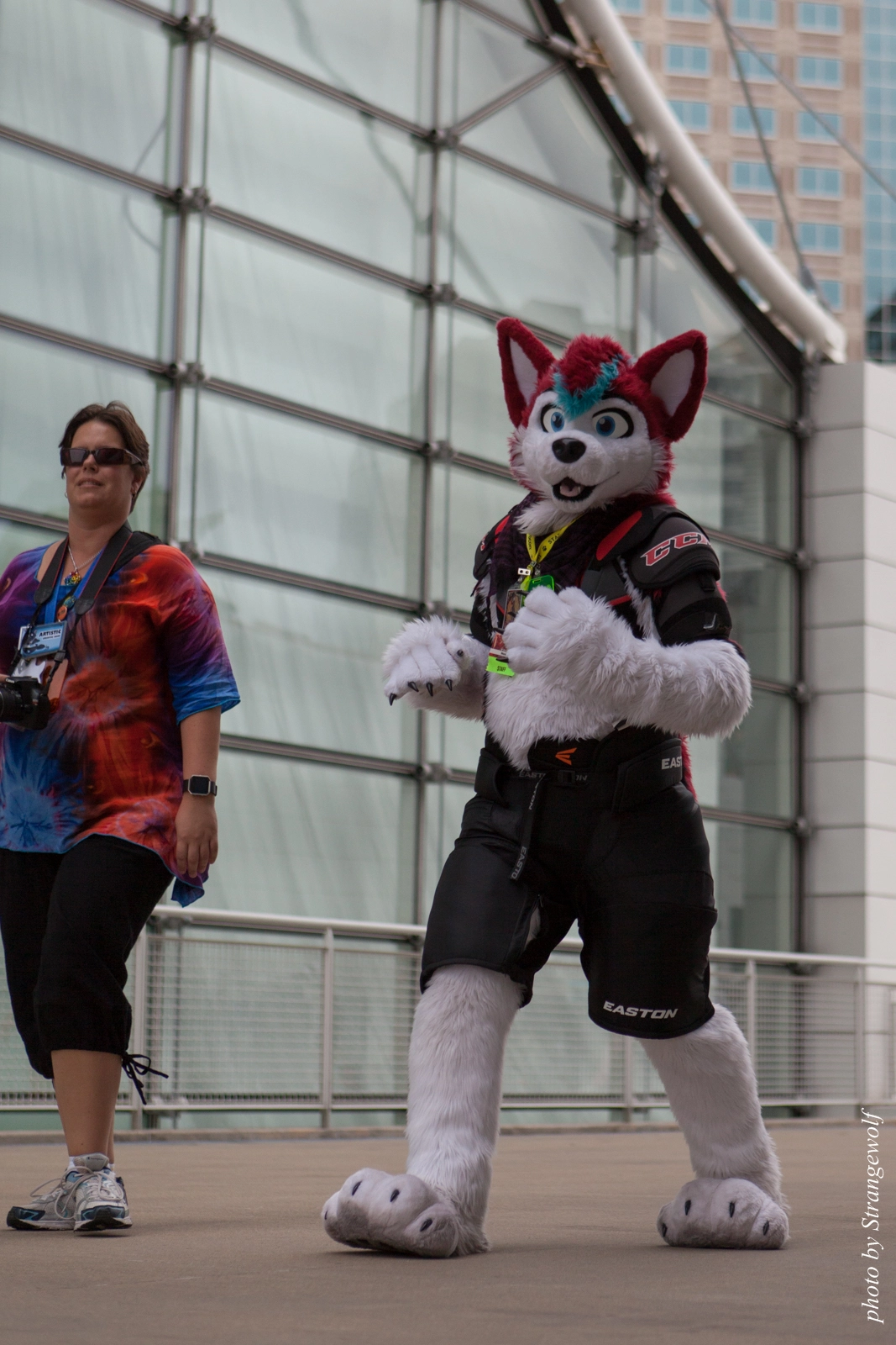 full image IMG_8212-lr16t.jpg