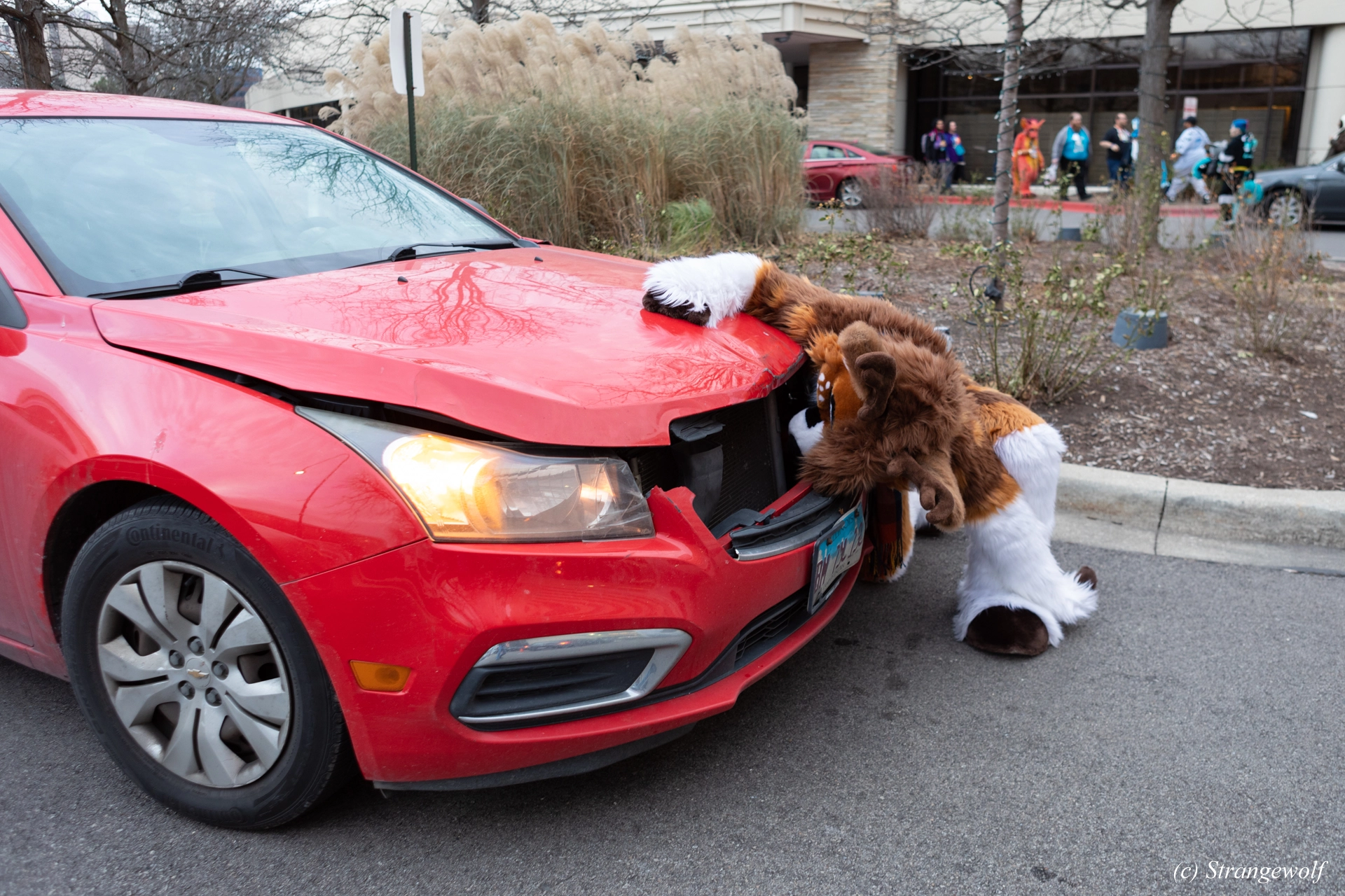 full image 1R3A6177-lr19t.jpg