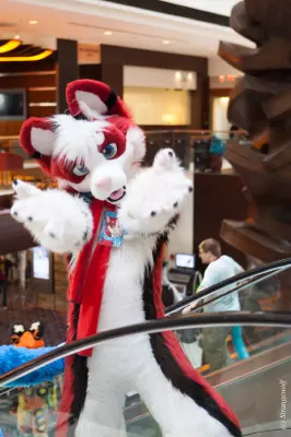 IMG_8524-lr19t.jpg of MFF/MFF2017/