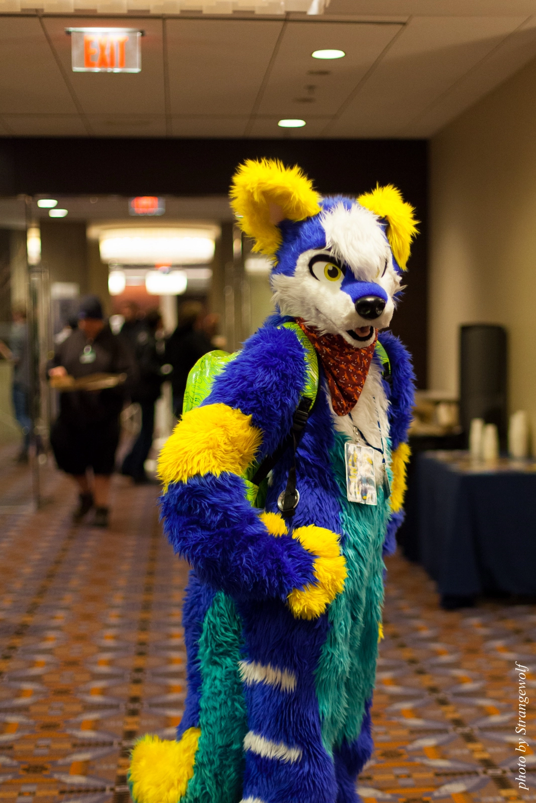 full image IMG_0880-lr16t.jpg