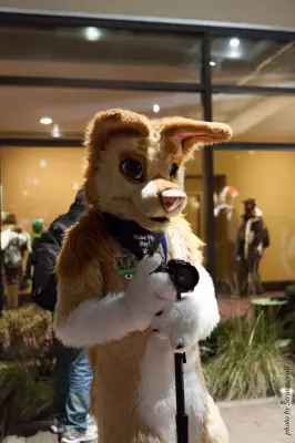 IMG_4337-lr16t.jpg of MFF/MFF2015/