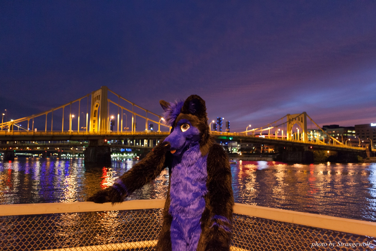 full image IMG_8441-lr16t.jpg