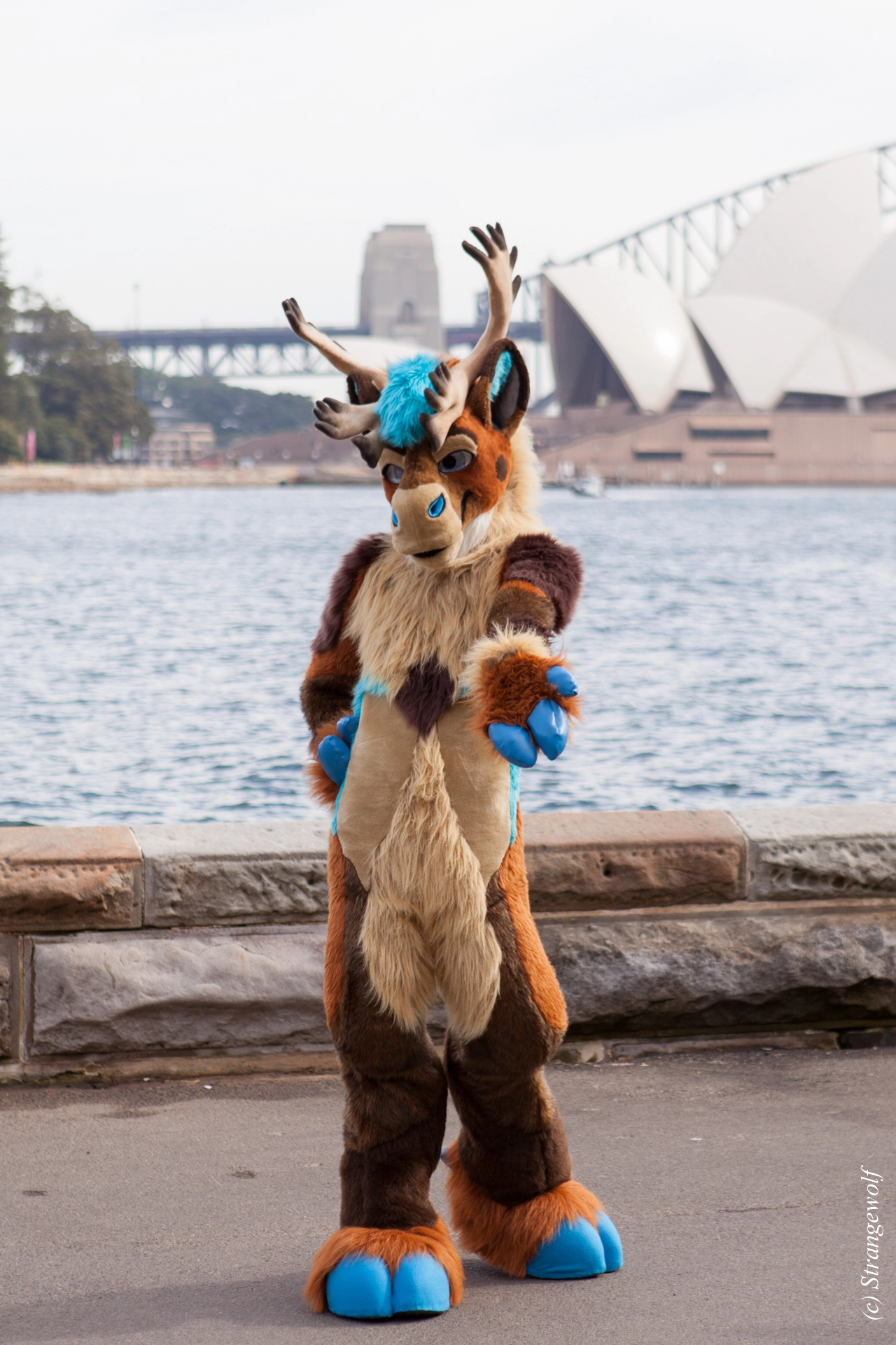 full image IMG_4315-lr19t.jpg