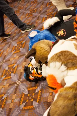IMG_0815-lr16t.jpg of MFF/MFF2016/