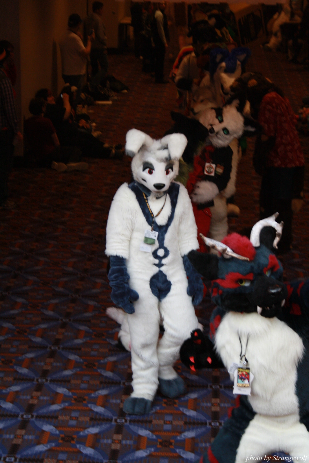 full image IMG_0615-lr.jpg