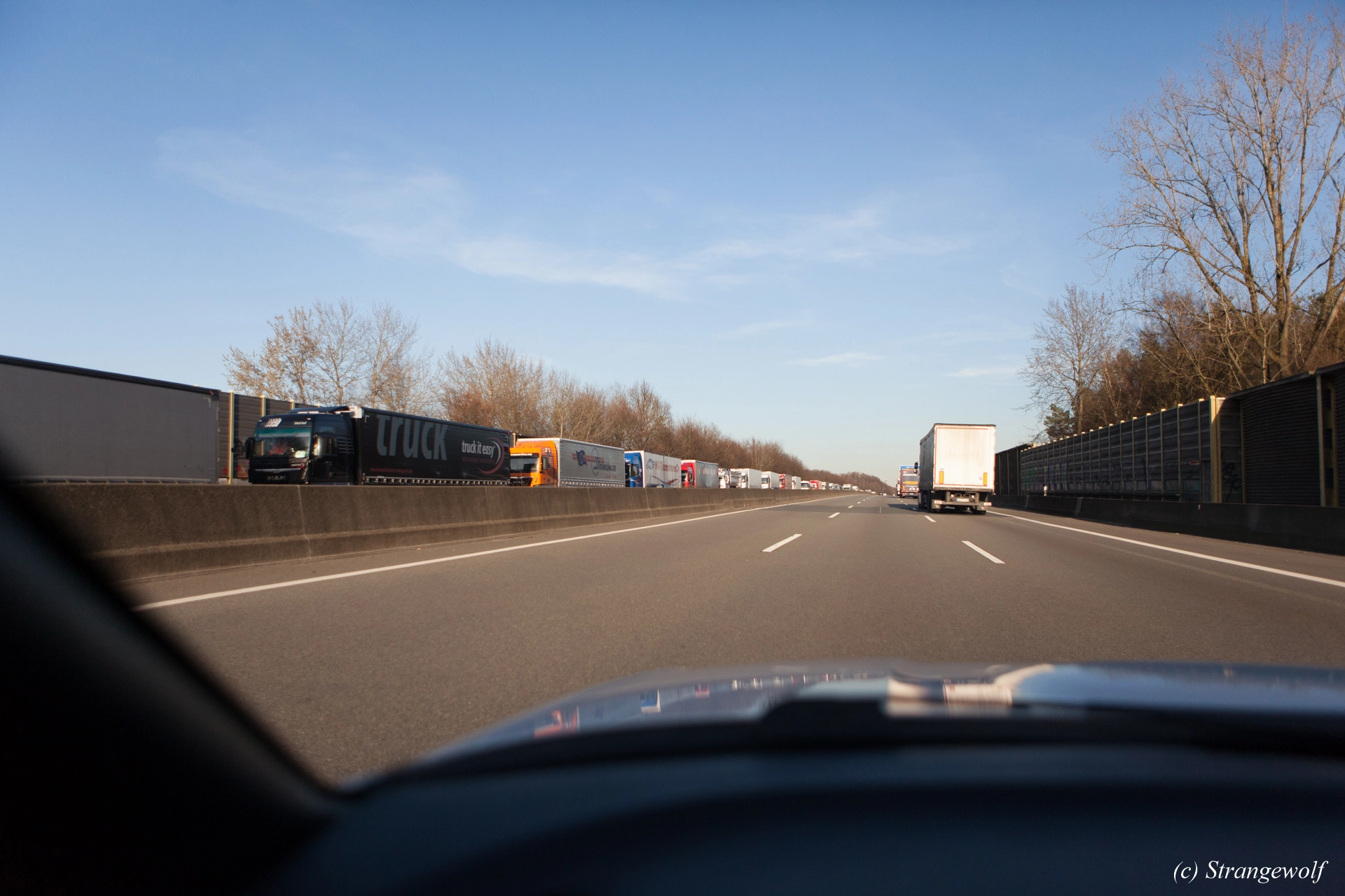 full image IMG_8374-lr19t.jpg