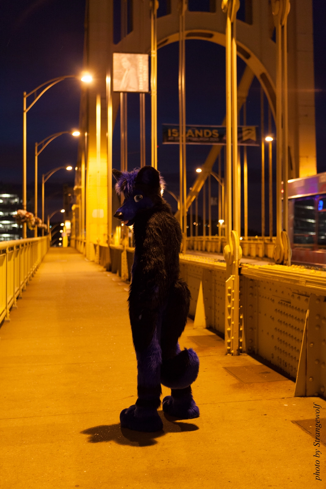 full image IMG_8466-lr16t.jpg