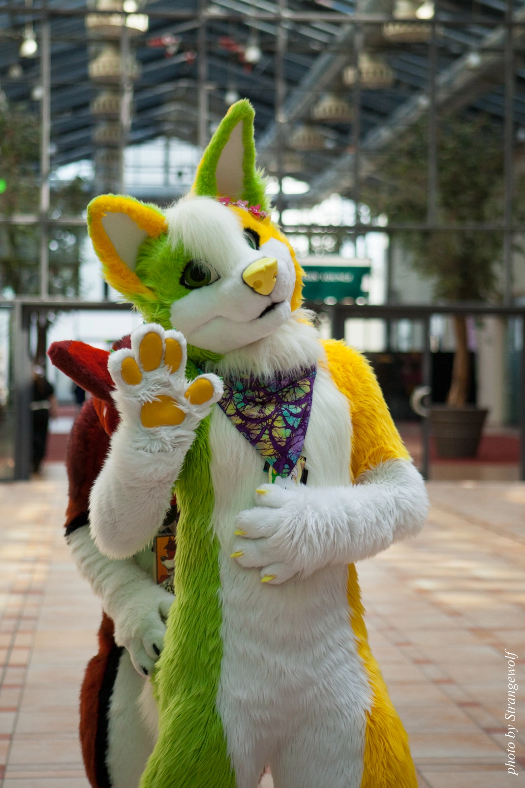 full image IMG_2071-lr16t.jpg