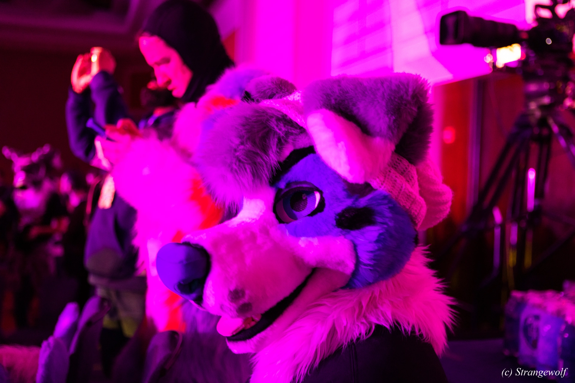 full image 1R3A4975-lr19t.jpg