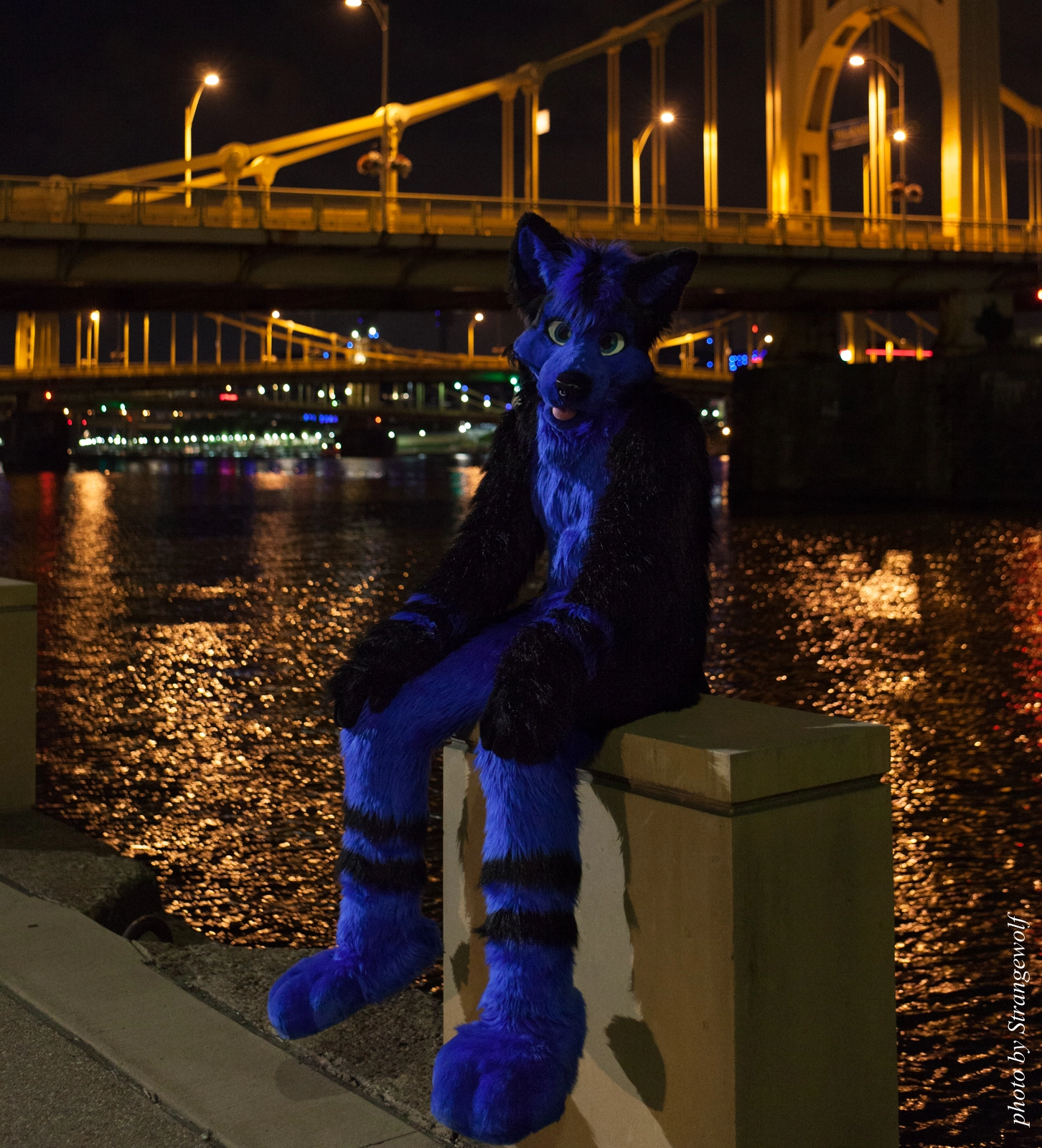 full image IMG_8531-lr16t-2.jpg