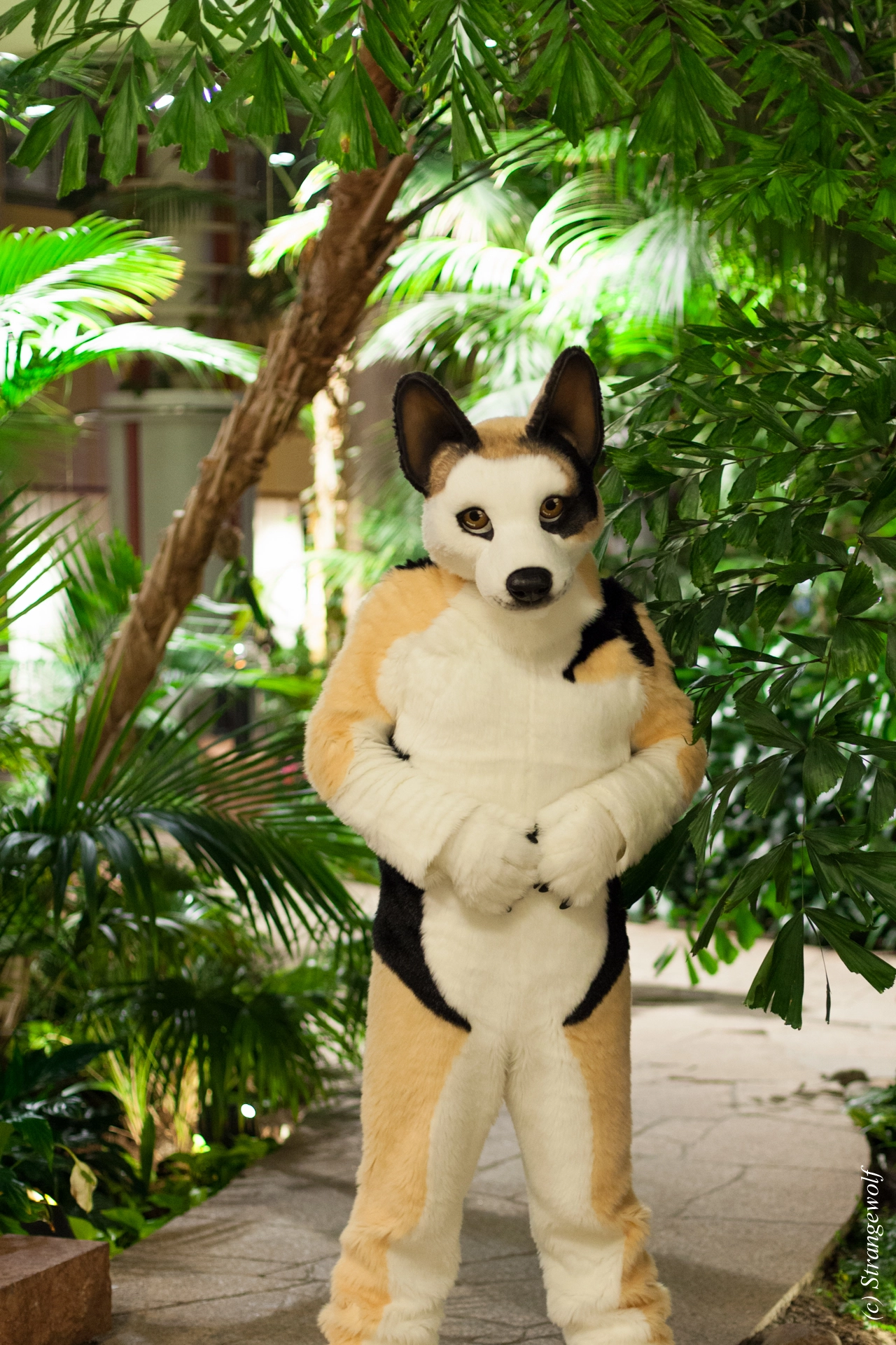 full image IMG_9785-lr19t.jpg