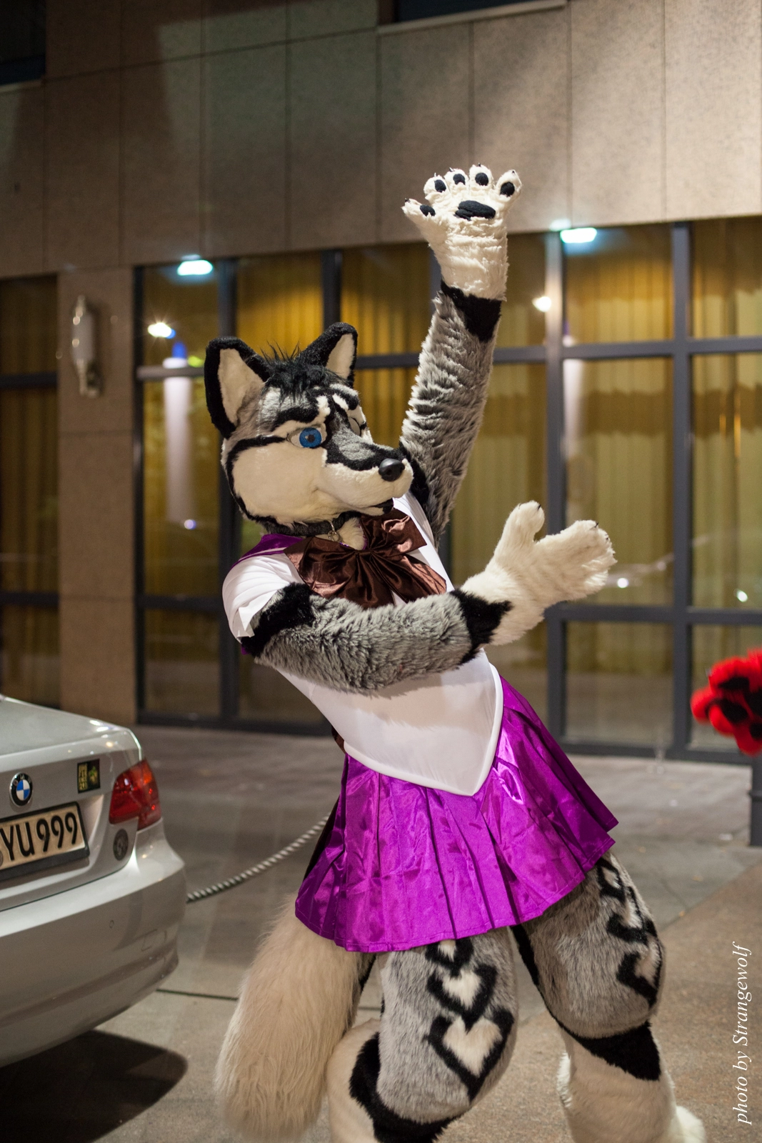 full image IMG_2002-lr16t.jpg