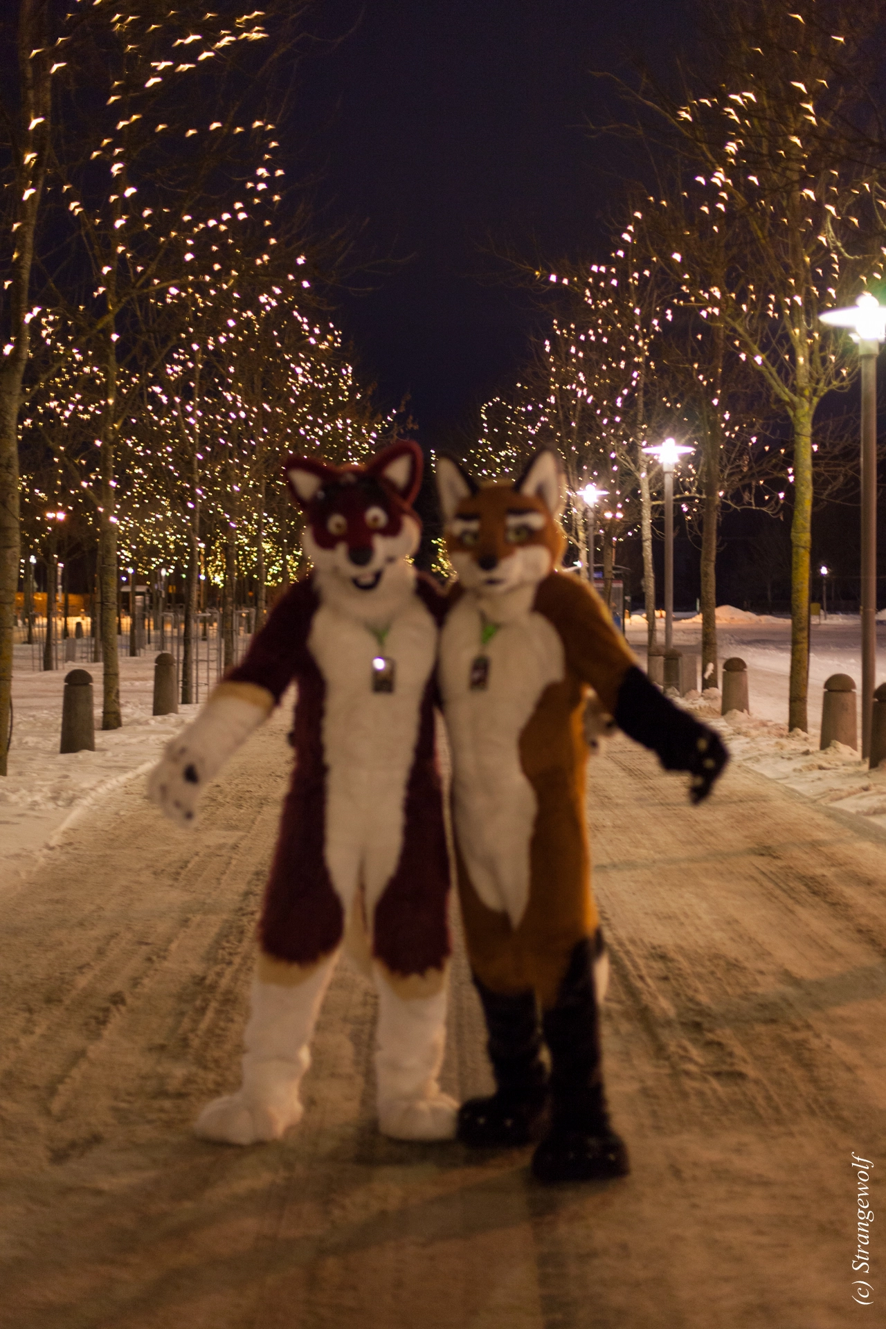 full image IMG_9431-lr19t.jpg