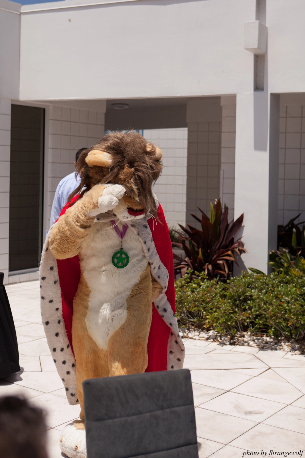 full image IMG_8805-lr16t.jpg