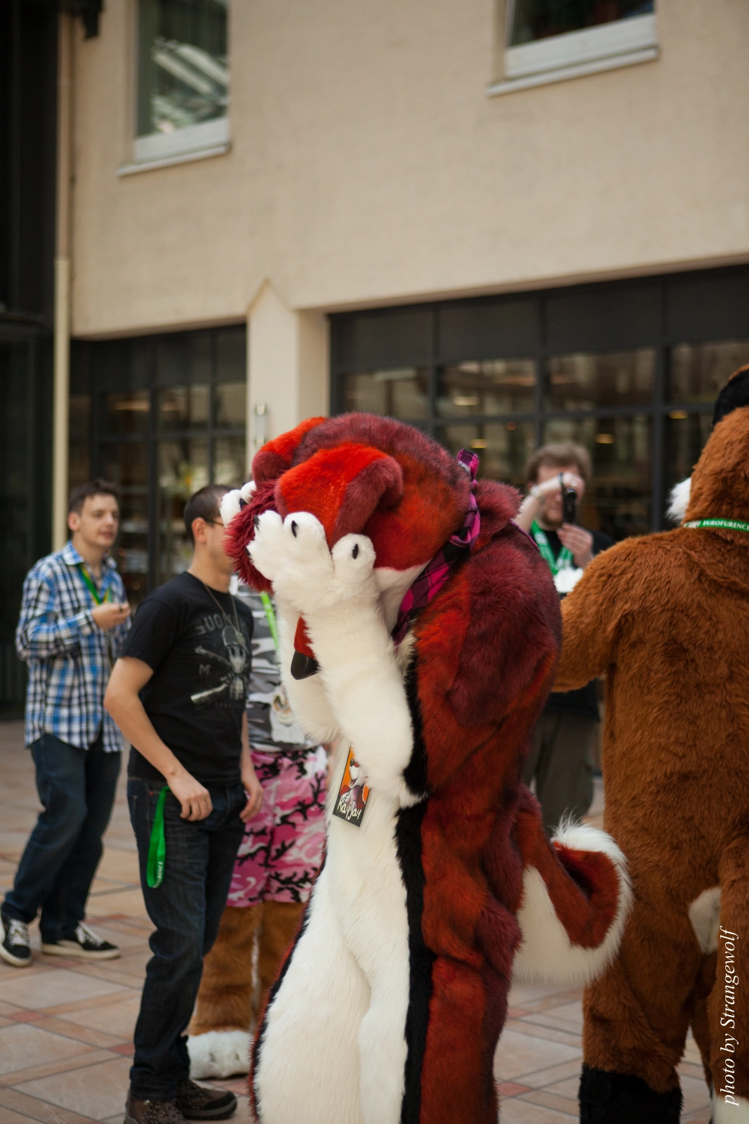 full image IMG_2079-lr16t.jpg