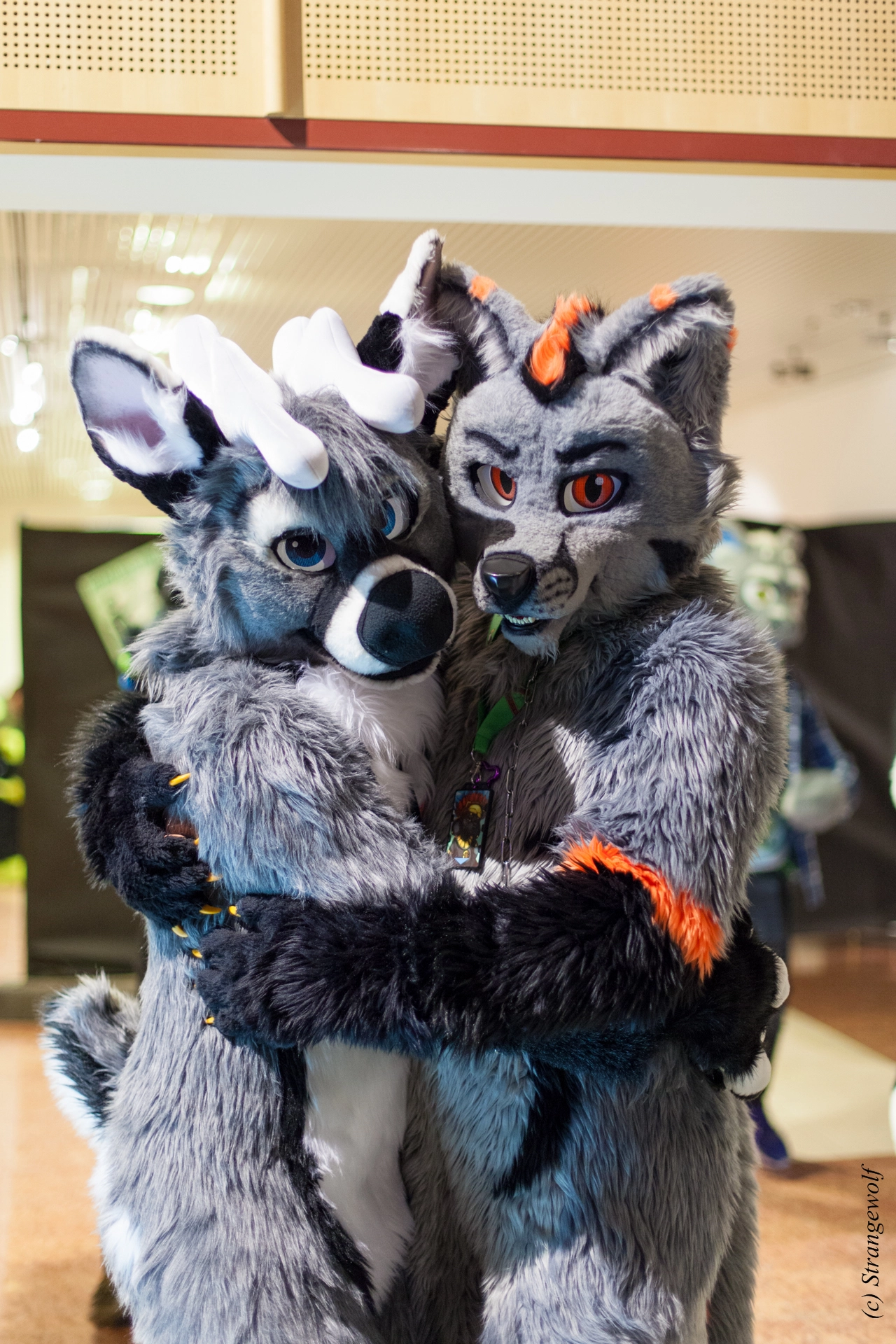 full image IMG_0862-lr19t.jpg