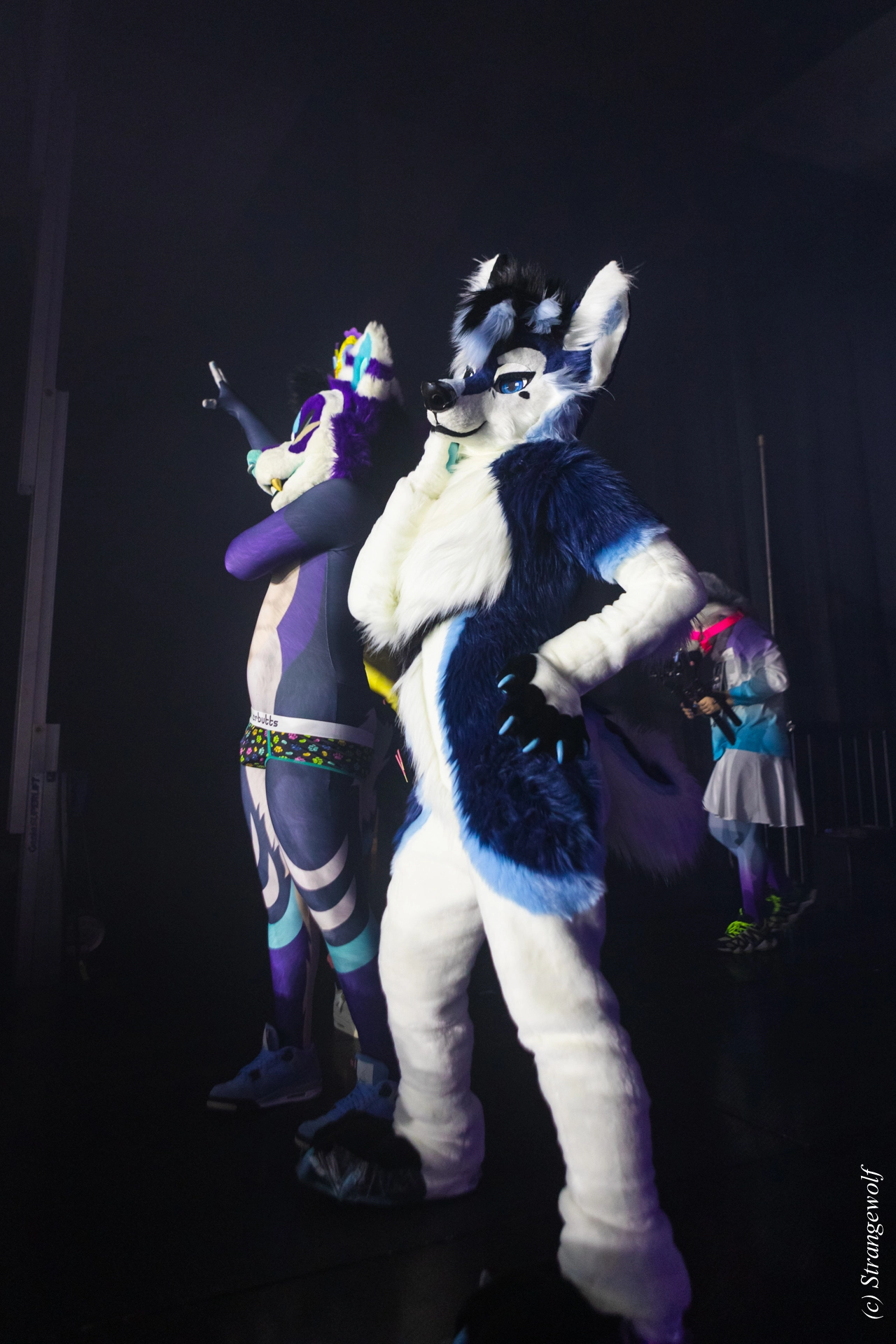 full image 1R3A7205-lr19t.jpg