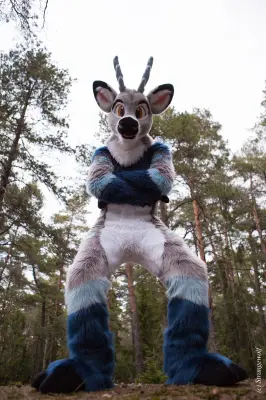 IMG_8622-lr19t.jpg of NFC/NFC2019/Shoot-Strife_Carlito/