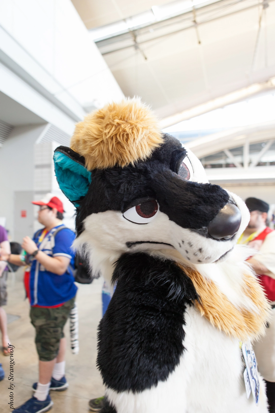 full image IMG_4580-lr16t.jpg