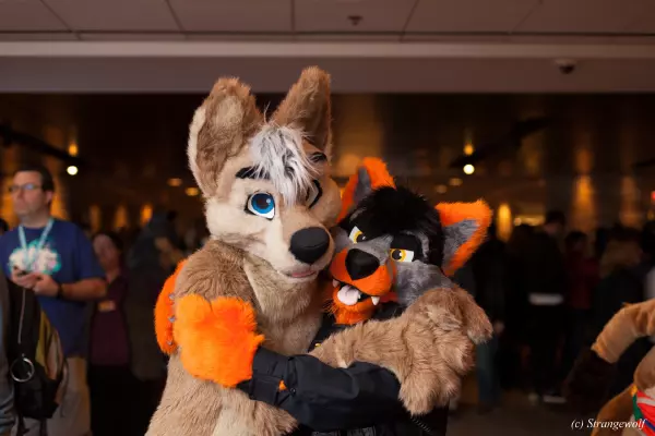 IMG_7306-lr19t.jpg of MFF/MFF2018/