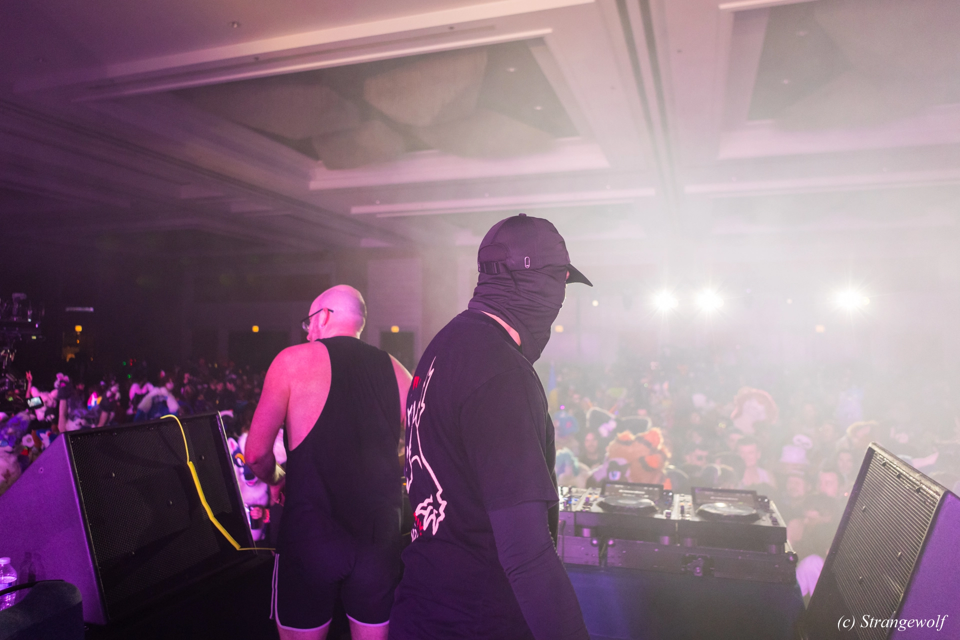 full image 1R3A7261-lr19t.jpg