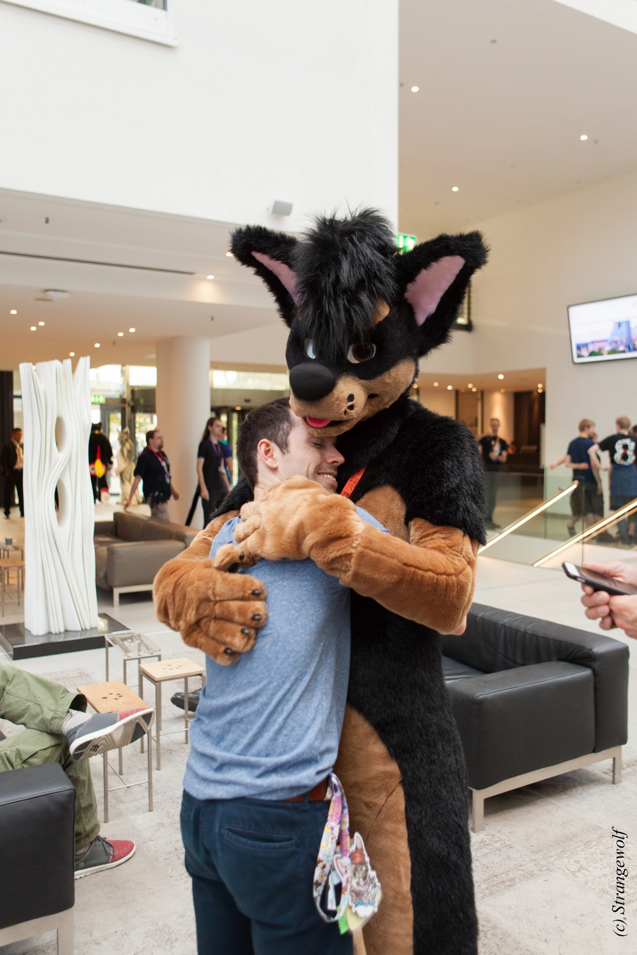 full image IMG_5444-lr19t.jpg