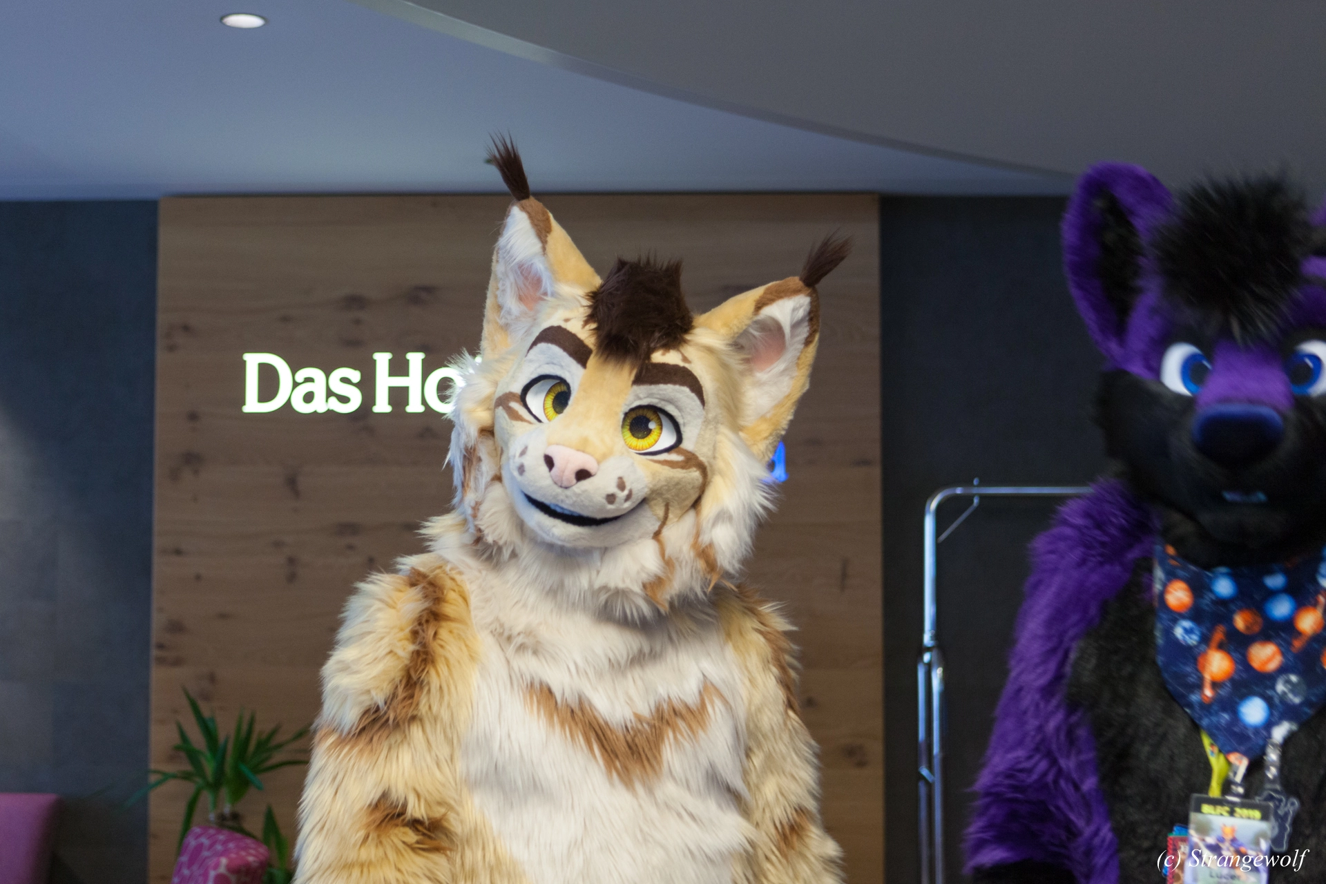 full image IMG_6974-lr19t.jpg