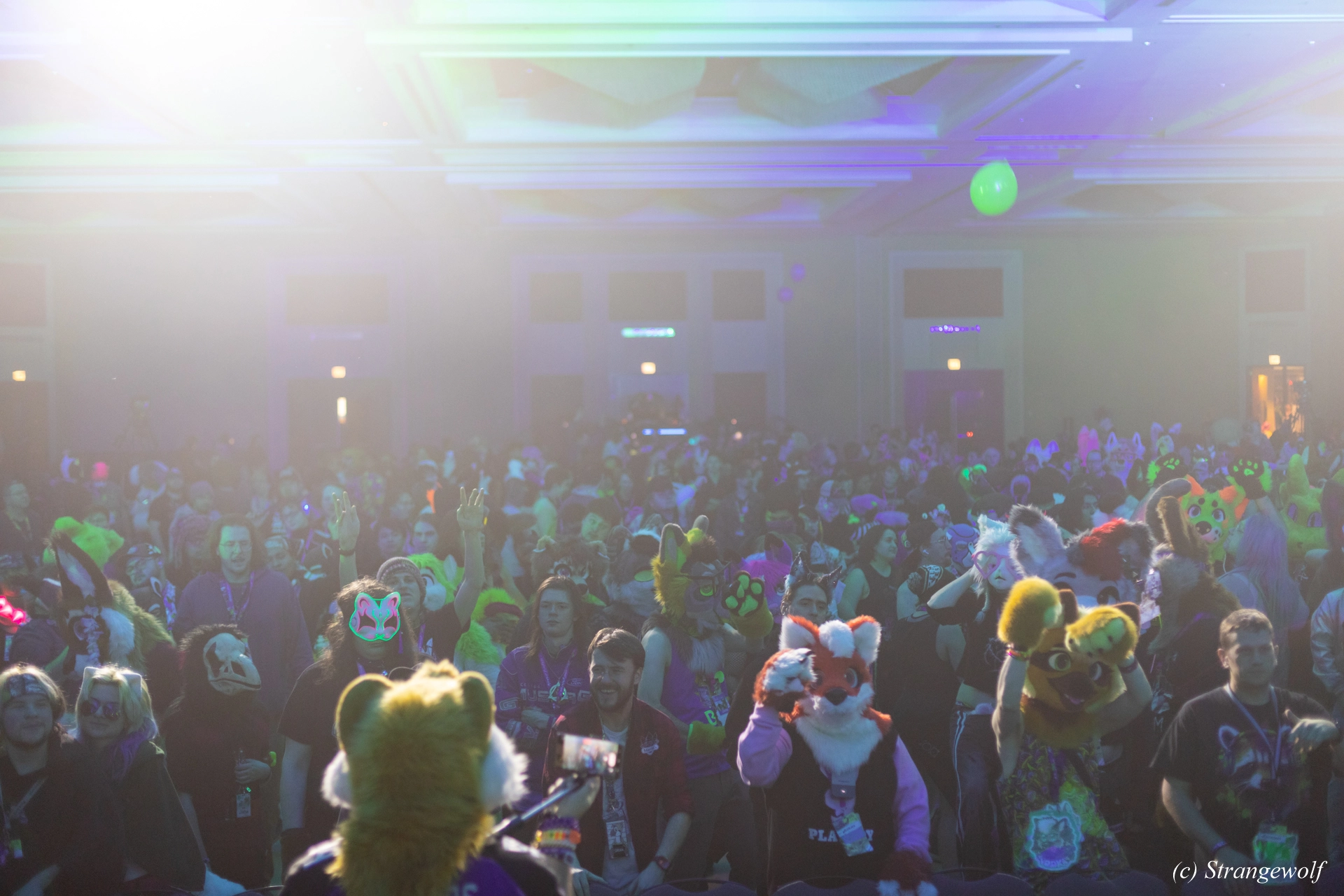 full image 1R3A0399-lr19t.jpg