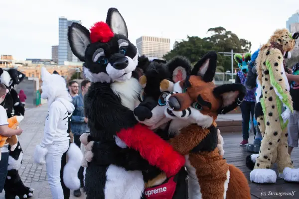 IMG_4665-lr19t.jpg of HCFC/HCFC2019/