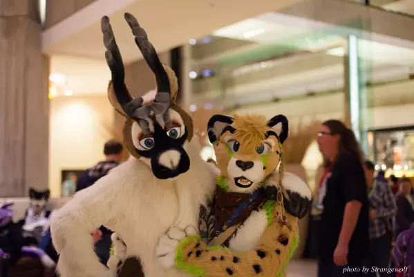 IMG_0812-lr16t.jpg of MFF/MFF2016/